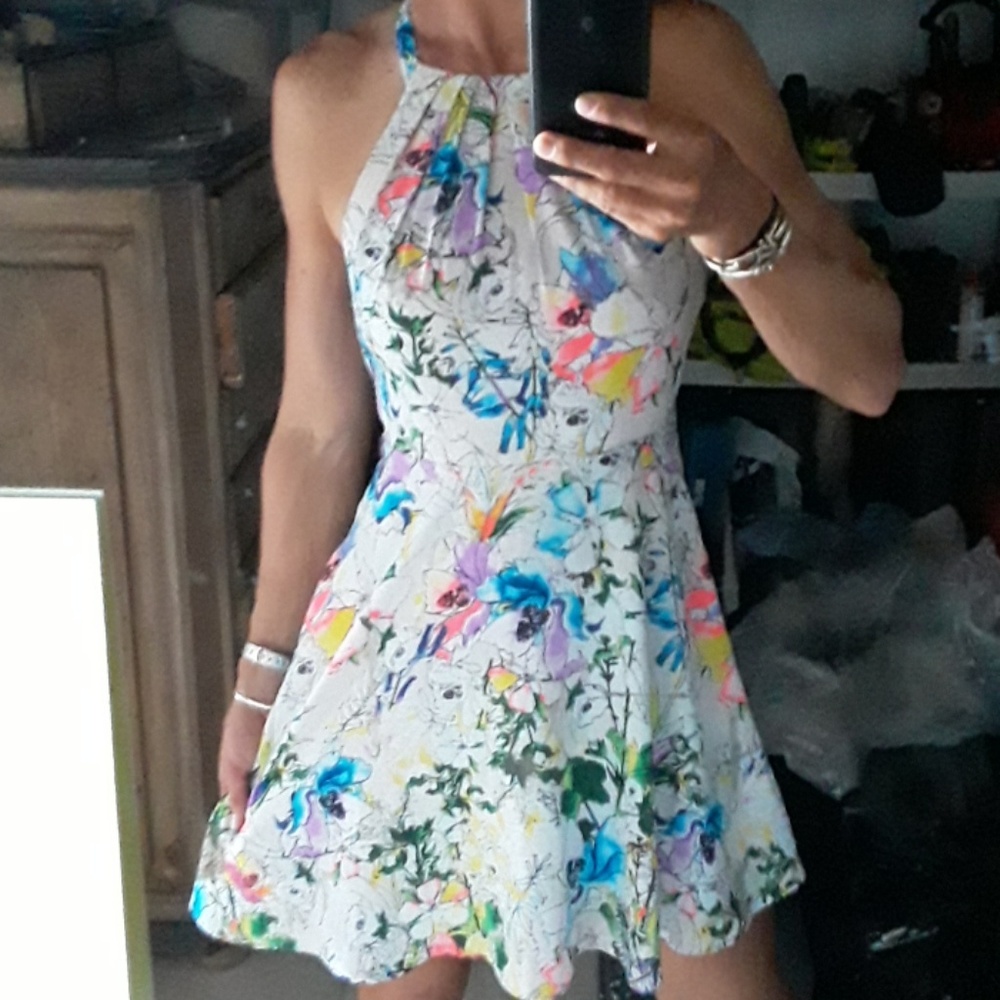 Express size 2 summer floral skater dress
